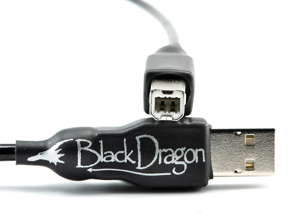 High-Speed Black Dragon USB Charging and Data Transfer Cable - Durable, Tangle-Free Design for Fast Connectivity