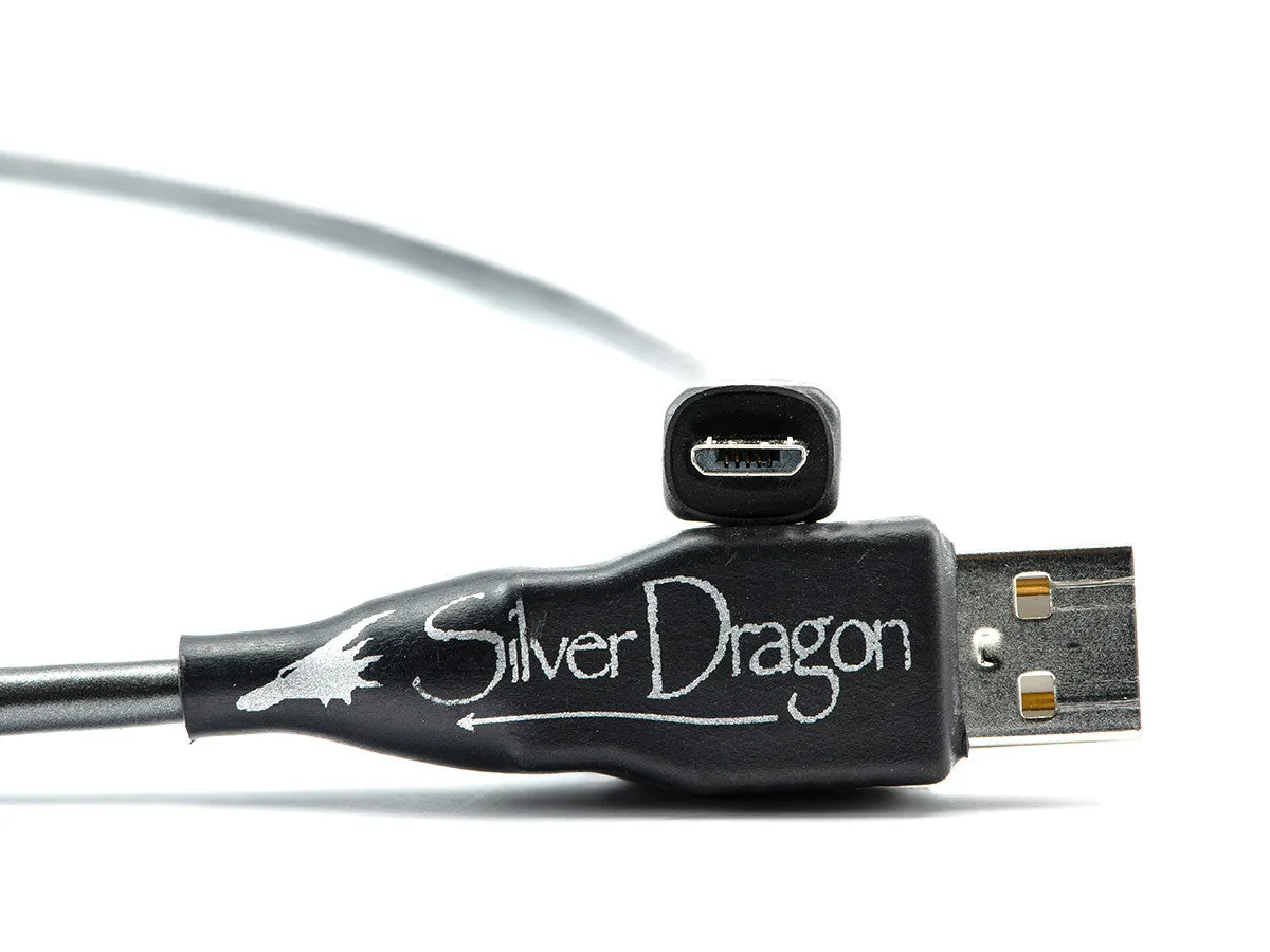 Silver Dragon USB Cable