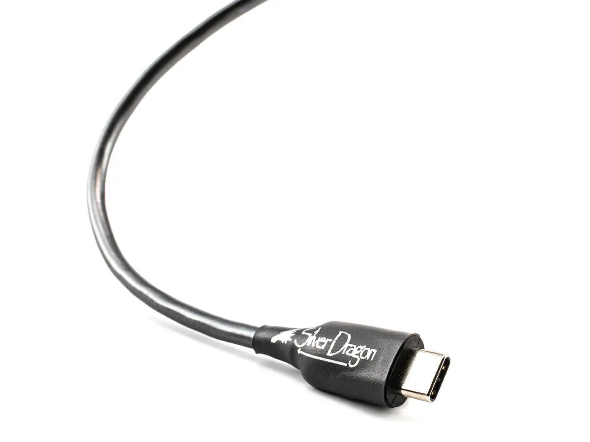 Silver Dragon USB Cable