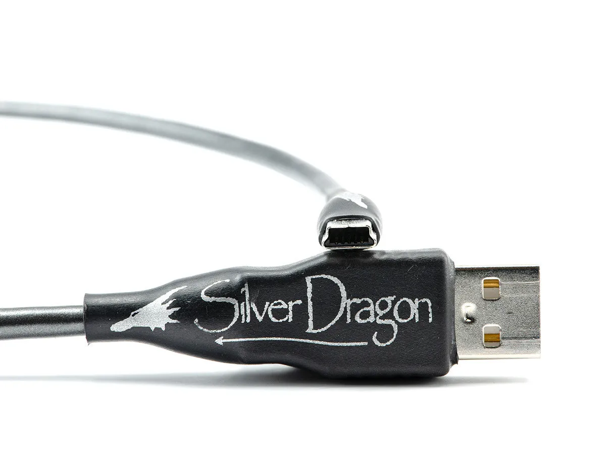 Silver Dragon USB Cable