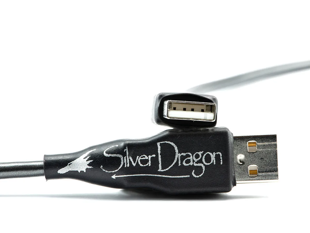 Silver Dragon USB Cable