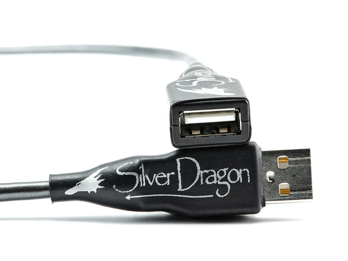 Silver Dragon USB Cable