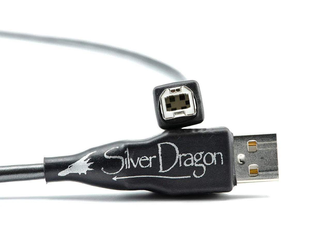 Silver Dragon USB Cable